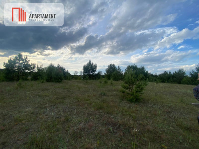 Urokliwa Działka na sprzedaż- Twoje Miejsce na Dom - Nowa Kiszewa  -
Pomorskie Zdjęcie nr 3