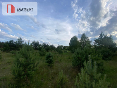 Urokliwa Działka na sprzedaż- Twoje Miejsce na Dom - Nowa Kiszewa  -
Pomorskie Zdjęcie nr 6