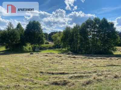 Atrakcyjna Działka Rolna w Nowej Kiszewie - Nowa Kiszewa  -
Pomorskie Zdjęcie nr 3