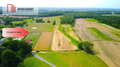 40 min do Wrocławiak Obornik Śląskich 90złm2 - powiat trzebnicki  -
Dolnośląskie Zdjęcie nr 3