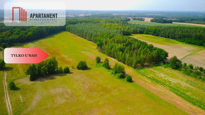 40 min do Wrocławiak Obornik Śląskich 90złm2 - powiat trzebnicki  -
Dolnośląskie Zdjęcie nr 5