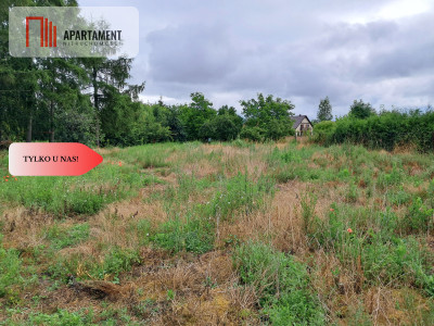 Działka z budynkiem gospodarczymmieszkalnym - Żnin  -
Kujawsko-Pomorskie Zdjęcie nr 5