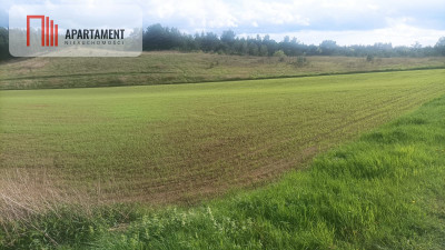 Piękna działka w okolicy jezior i lasów - Teolog  -
Kujawsko-Pomorskie Zdjęcie nr 3