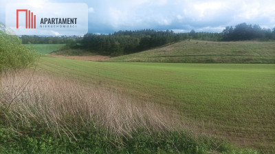 Piękna działka w okolicy jezior i lasów - Teolog  -
Kujawsko-Pomorskie Zdjęcie nr 4