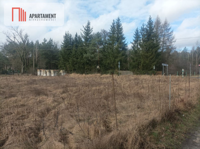 Piękna działka w okolicy jezior i lasów - Teolog  -
Kujawsko-Pomorskie Zdjęcie nr 5