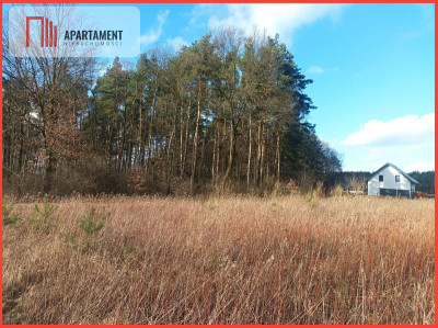 Piękna działka w pobliżu jeziora i lasy - Teolog  - Kujawsko-Pomorskie