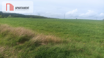 Piękna działka w pobliżu jeziora i lasy - Teolog  -
Kujawsko-Pomorskie Zdjęcie nr 6