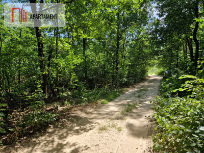 Działki blisko jeziora i plaży - Borzątew  -
Wielkopolskie Zdjęcie nr 3