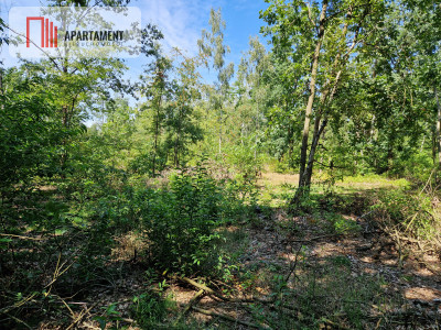 Działki blisko jeziora i plaży - Borzątew  -
Wielkopolskie Zdjęcie nr 8