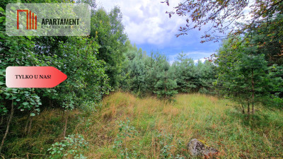 Tylko u Nas Działka 800 metrów od jeziora Tleń - powiat świecki  -
Kujawsko-Pomorskie Zdjęcie nr 3