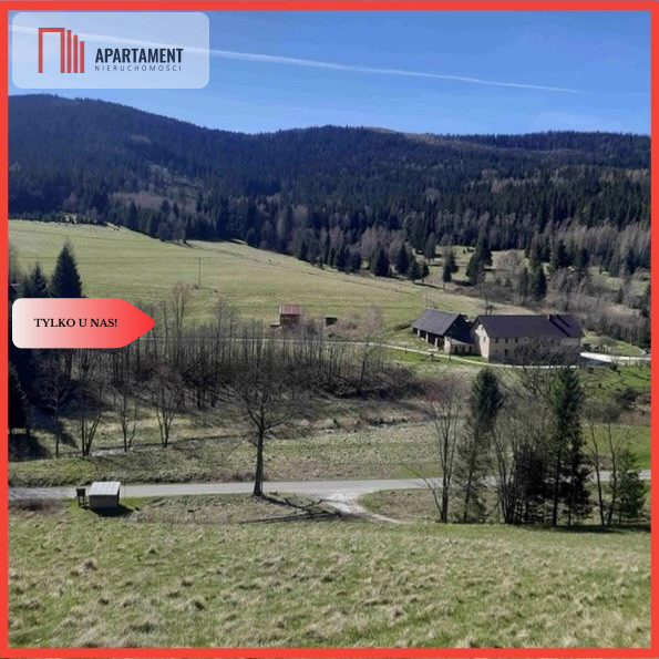 Tylko u nas GóryPiękny widok działki 2000mkw - Nowy Gierałtów  -
Dolnośląskie Zdjęcie nr 1