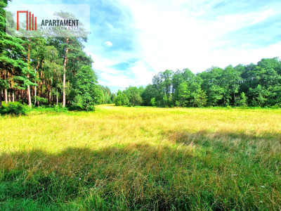 Działka z linią brzegową w Borach Tucholskich - powiat tucholski  - Kujawsko-Pomorskie