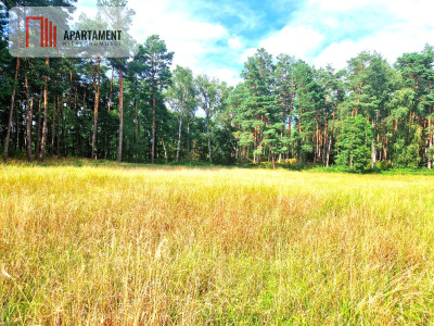 Działka z linią brzegową w Borach Tucholskich - powiat tucholski  -
Kujawsko-Pomorskie Zdjęcie nr 7