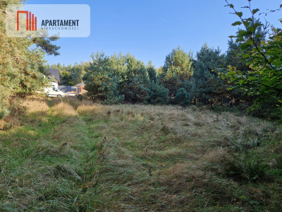 Wyjątkowa działka budowlana   las - Duszniki  -
Wielkopolskie Zdjęcie nr 7