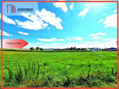 Tylko u Nas Działka  budowlana - Ostrowite  - Ostrowite  -
Pomorskie Zdjęcie nr 4