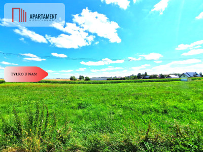 Tylko u Nas Działka  budowlana - Ostrowite  - Ostrowite  -
Pomorskie Zdjęcie nr 5