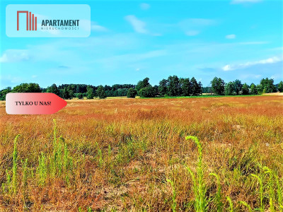 ZŁAWIEŚ MAŁA 1002m2 CISZA SPOKÓJ SUPER LOKALIZACJA - Zławieś Mała  -
Kujawsko-Pomorskie Zdjęcie nr 10