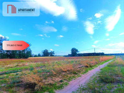 ZŁAWIEŚ MAŁA 1079 m2 IDEALNA LOKALIZACJA - Zławieś Mała  -
Kujawsko-Pomorskie Zdjęcie nr 12