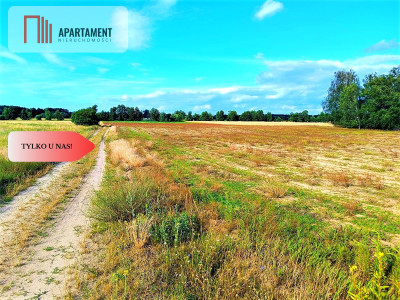 ZŁAWIEŚ MAŁA 1079 m2 IDEALNA LOKALIZACJA - Zławieś Mała  -
Kujawsko-Pomorskie Zdjęcie nr 9