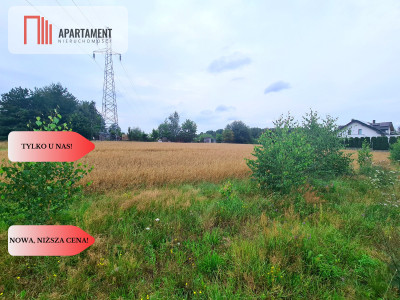 Tylko U Nas Działka w okazyjnej cenie - Kościerzyna-Wybudowanie  -
Pomorskie Zdjęcie nr 7