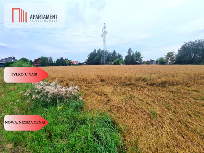 Tylko U Nas Działka w okazyjnej cenie - Kościerzyna-Wybudowanie  -
Pomorskie Zdjęcie nr 9