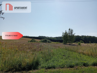 Sprzedam działki budowlane w Mieliczkach - Mieliczki  -
Pomorskie Zdjęcie nr 4