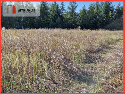 Działka budowlana blisko lasu - Rogowo  - Kujawsko-Pomorskie