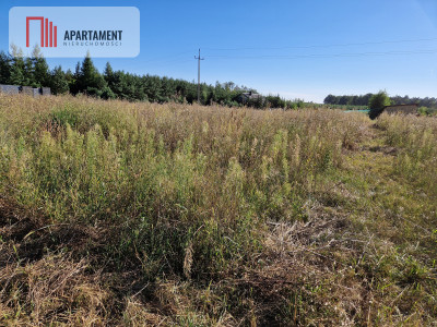 Działka budowlana blisko lasu - Rogowo  -
Kujawsko-Pomorskie Zdjęcie nr 3