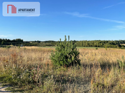 SPRZEDAM DWIE DZIAŁKI BUDOWLANE -ŚWIETNA LOKALIZA - Margonin  -
Wielkopolskie Zdjęcie nr 2