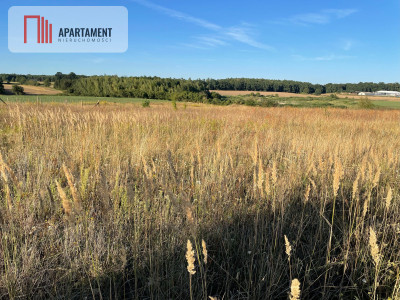 SPRZEDAM DWIE DZIAŁKI BUDOWLANE -ŚWIETNA LOKALIZA - Margonin  -
Wielkopolskie Zdjęcie nr 3