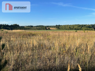SPRZEDAM DWIE DZIAŁKI BUDOWLANE -ŚWIETNA LOKALIZA - Margonin  -
Wielkopolskie Zdjęcie nr 4