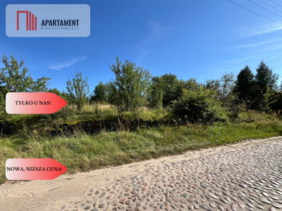 Zaproponuj cenę Działka budynek 163m jezioro - Pniewo  -
Wielkopolskie Zdjęcie nr 13