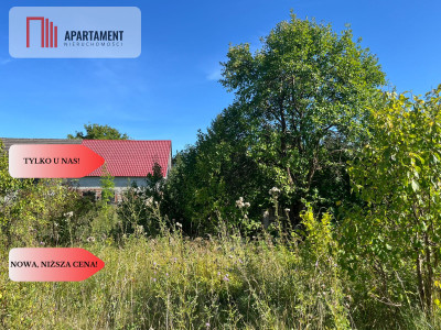 Zaproponuj cenę Działka budynek 163m jezioro - Pniewo  -
Wielkopolskie Zdjęcie nr 2