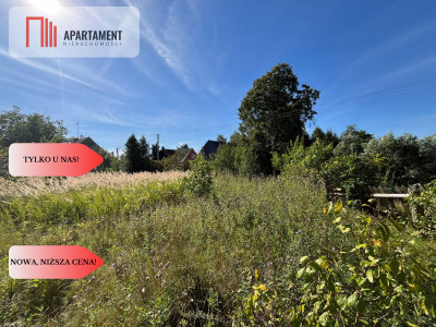 Zaproponuj cenę Działka budynek 163m jezioro - Pniewo  -
Wielkopolskie Zdjęcie nr 4