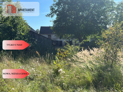 Zaproponuj cenę Działka budynek 163m jezioro - Pniewo  -
Wielkopolskie Zdjęcie nr 5