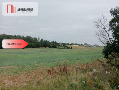 Tczew-Śliwiny z Warunkami Zabudowy - Śliwiny  -
Pomorskie Zdjęcie nr 3