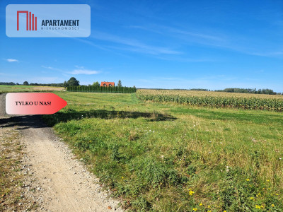 TYLKO U NAS DUŻA DZIAŁKA Z  WZ DOM DO 250m2 - Krojanty  -
Pomorskie Zdjęcie nr 2