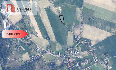 TYLKO U NAS DUŻA DZIAŁKA Z  WZ DOM DO 250m2 - Krojanty  -
Pomorskie Zdjęcie nr 7
