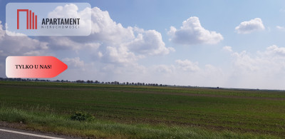 Działka przy obwodnicy z warunkami zab Usługi - Lisi Ogon  -
Kujawsko-Pomorskie Zdjęcie nr 3