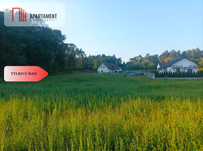 TYLKO U NAS  ATRAKCYJNA JEDNA Z OSTATNICH - Terespol Pomorski  -
Kujawsko-Pomorskie Zdjęcie nr 5