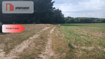 Działka Cekcyn obok lasu jezior budowlana  - powiat tucholski  -
Kujawsko-Pomorskie Zdjęcie nr 2