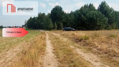 Działka Cekcyn obok lasu jezior budowlana  - powiat tucholski  -
Kujawsko-Pomorskie Zdjęcie nr 3