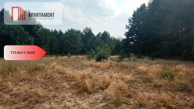 Działka Cekcyn obok lasu jezior budowlana  - powiat tucholski  -
Kujawsko-Pomorskie Zdjęcie nr 4