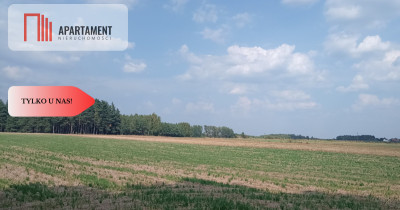 Działka Cekcyn obok lasu jezior budowlana  - powiat tucholski  -
Kujawsko-Pomorskie Zdjęcie nr 5