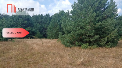 Działka Cekcyn obok lasu jezior budowlana  - powiat tucholski  -
Kujawsko-Pomorskie Zdjęcie nr 9