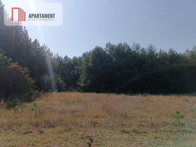 Zadrzewiona działka rolna w okolicy jeziora - powiat świecki  -
Kujawsko-Pomorskie Zdjęcie nr 5