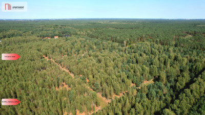 Nowa cena Działki budowlane 15 minut od Gniezna - Strzyżewo Paczkowe  -
Wielkopolskie Zdjęcie nr 13
