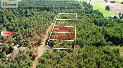 Nowa cena Działki budowlane 15 minut od Gniezna - Strzyżewo Paczkowe  - Wielkopolskie