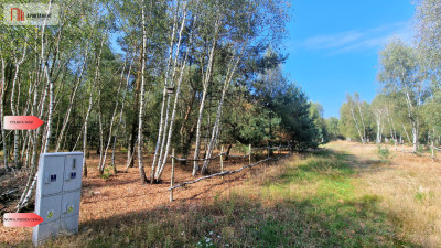 Nowa cena Działki budowlane 15 minut od Gniezna - Strzyżewo Paczkowe  -
Wielkopolskie Zdjęcie nr 7