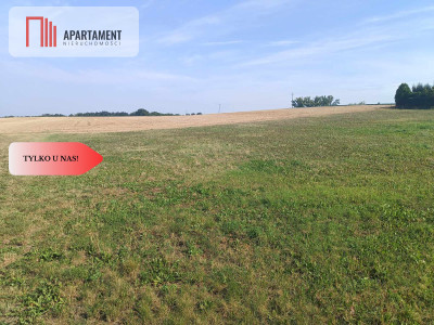 Tylko u Nas  Piękna i cicha działka - Gołoty  -
Kujawsko-Pomorskie Zdjęcie nr 5